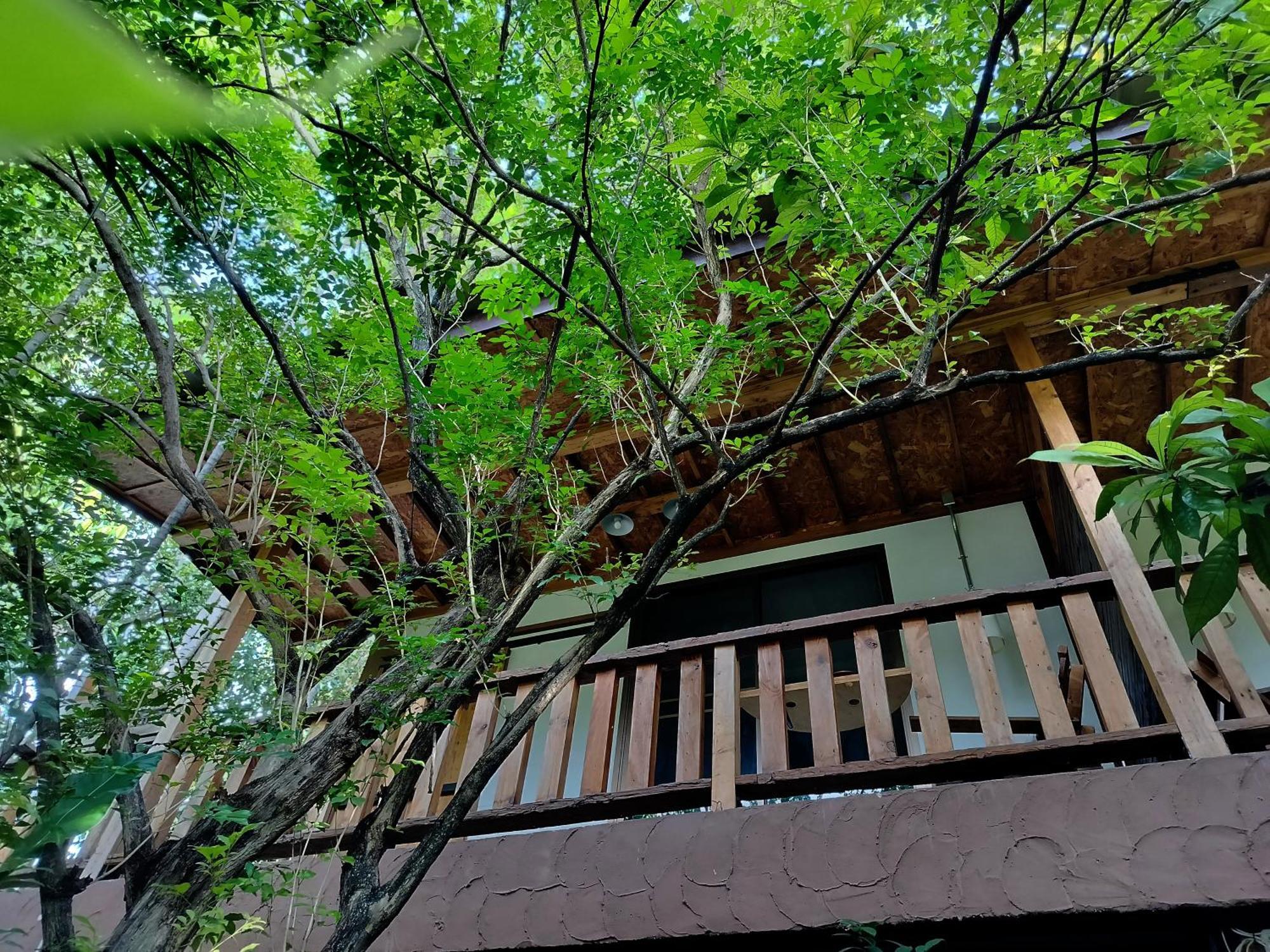 Oldy De Garden Lejlighedshotel Chiang Mai Eksteriør billede