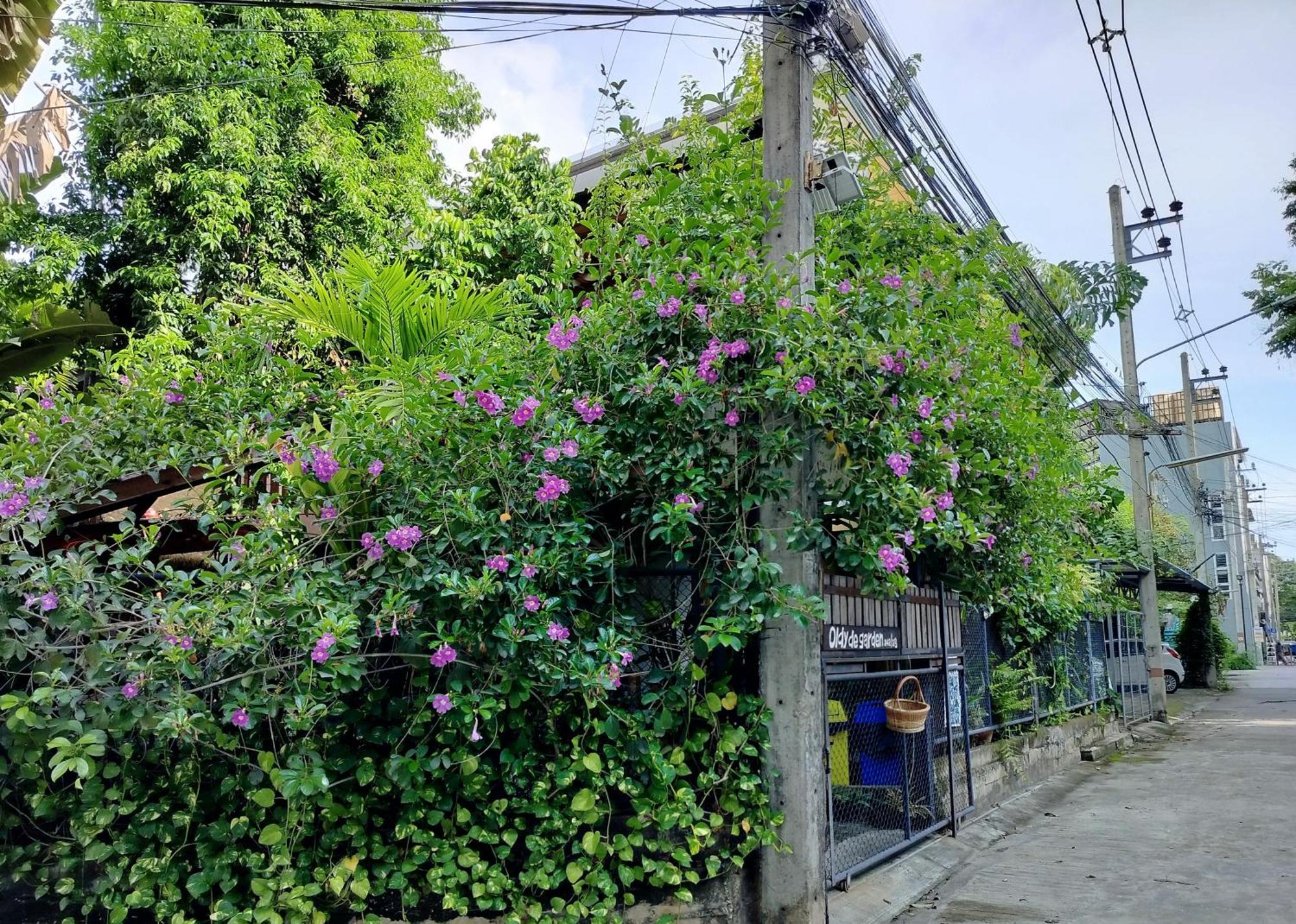 Oldy De Garden Lejlighedshotel Chiang Mai Eksteriør billede