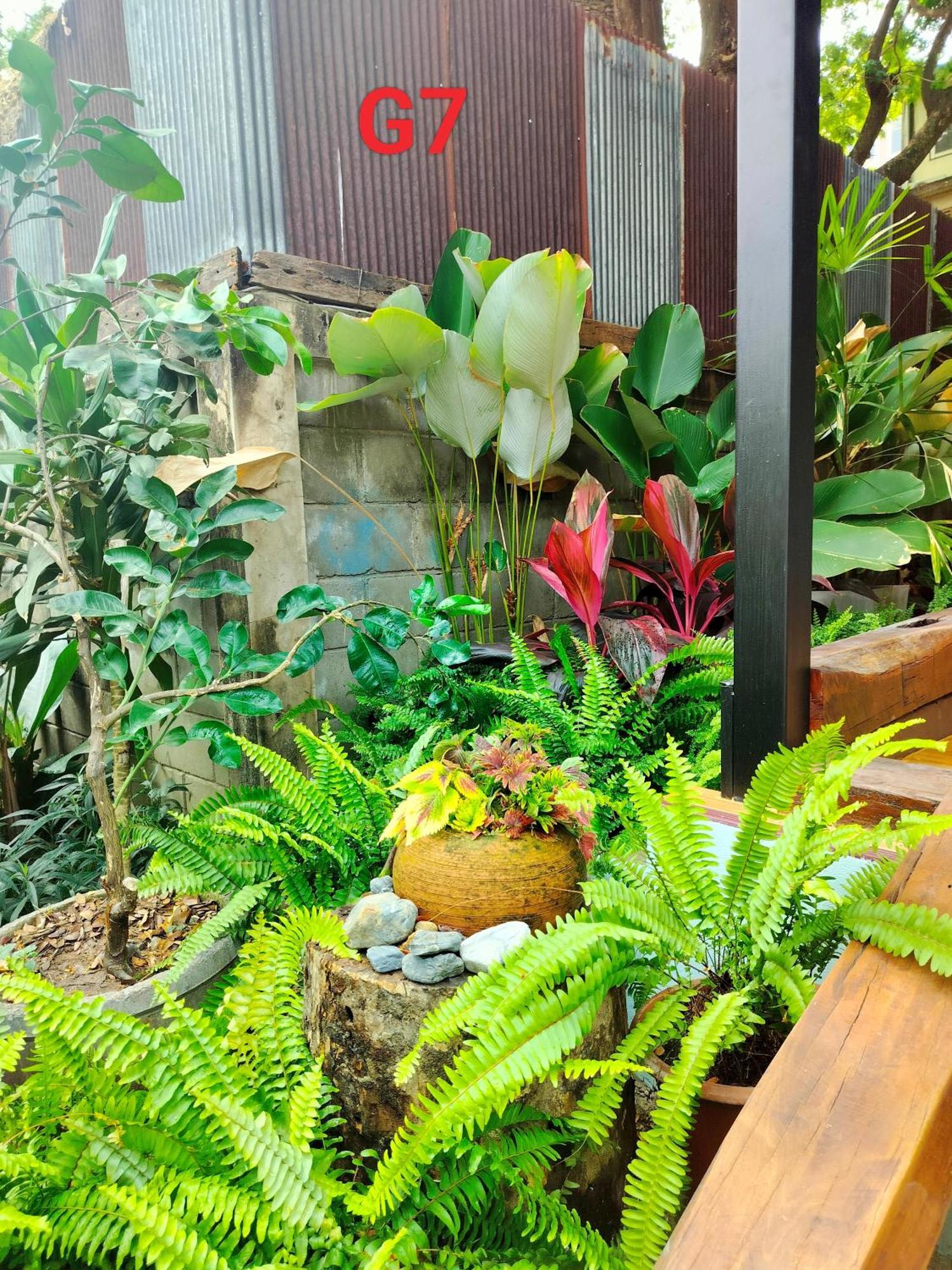 Oldy De Garden Lejlighedshotel Chiang Mai Eksteriør billede