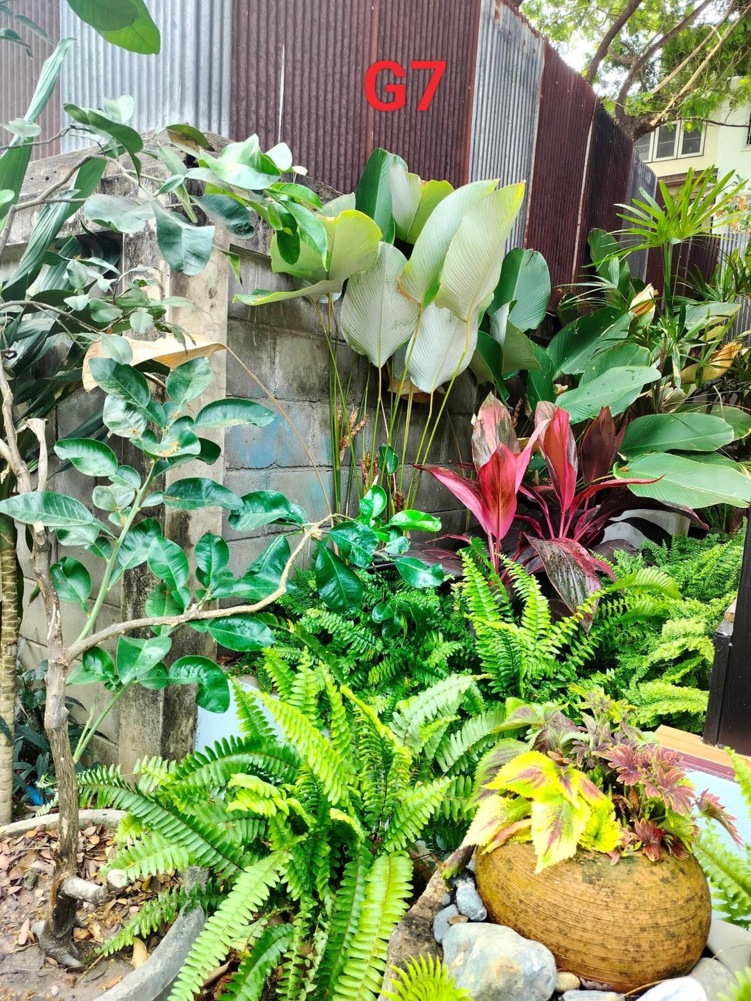 Oldy De Garden Lejlighedshotel Chiang Mai Eksteriør billede